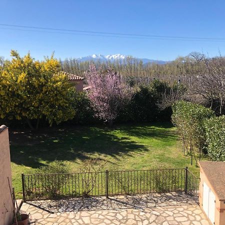 Au Mimosa -Gite Le Canigou Passa Экстерьер фото