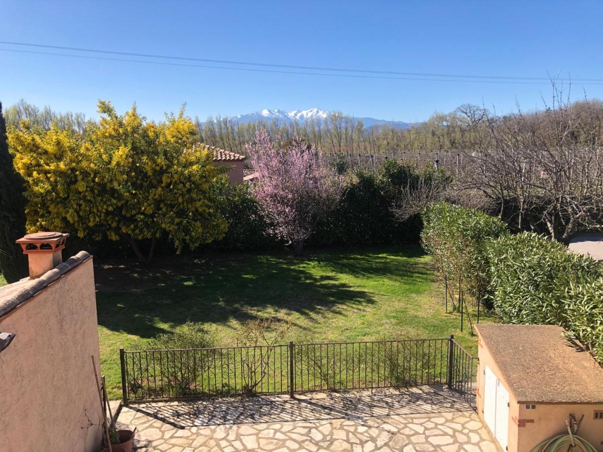 Au Mimosa -Gite Le Canigou Passa Экстерьер фото