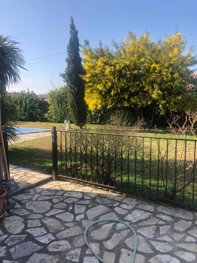 Au Mimosa -Gite Le Canigou Passa Экстерьер фото